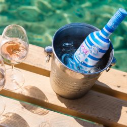 Rose Piscine