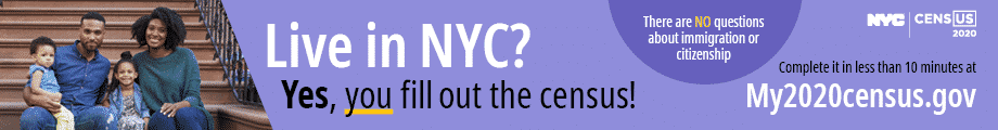 Census NYC