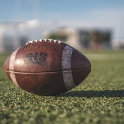 Football sitting in the middle of a grass field with an unfocused city skyline behind it