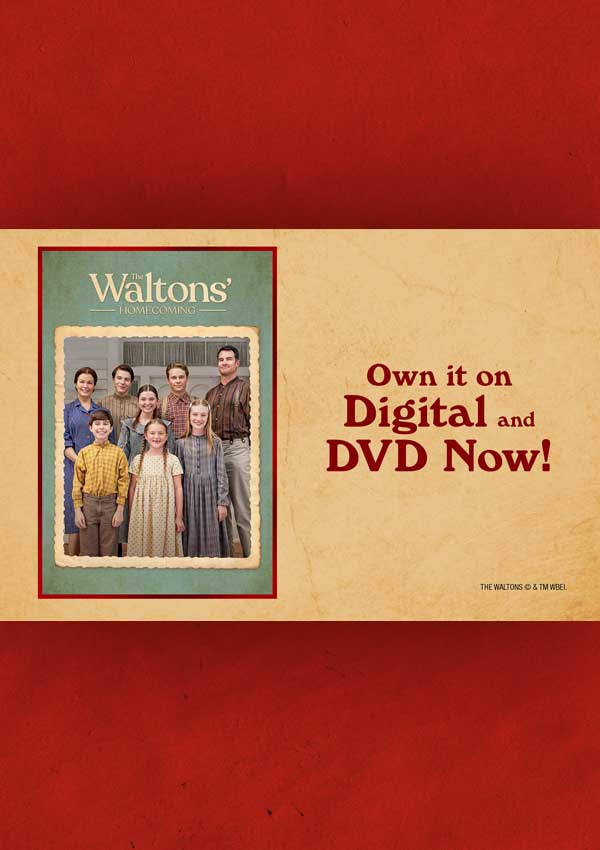 The Waltons' Homecoming promo poster